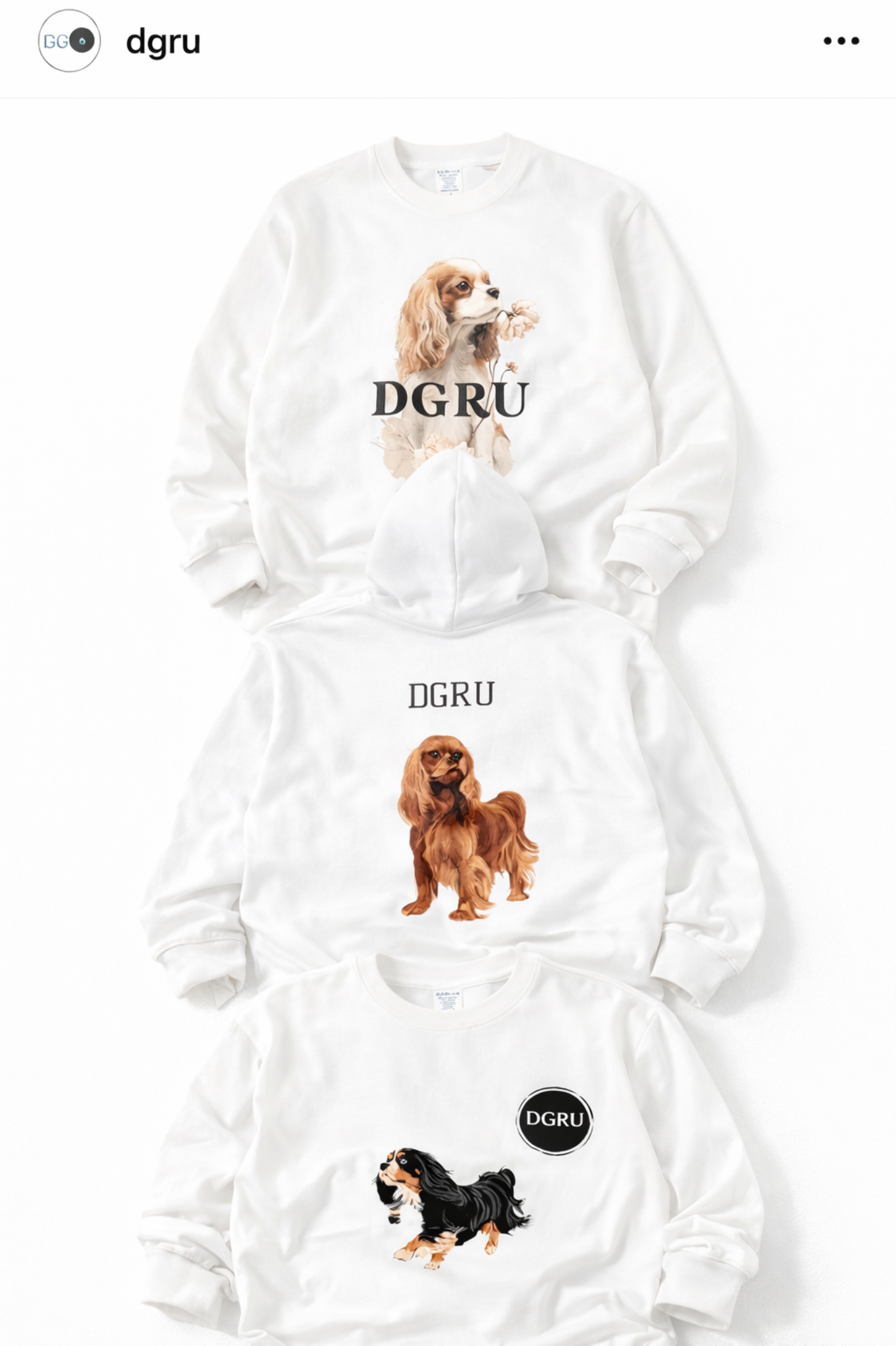 キャバリアのスウェットとフーディー、ロングスリーブを並べたビジュアル