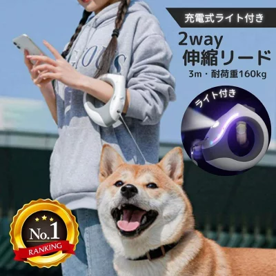 【体験レビュー】楽天ランキング1位！ライト付き伸縮リードで夜散歩が超快適に！